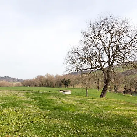 Locanda Abbazia Di Sant'urbano Szálloda